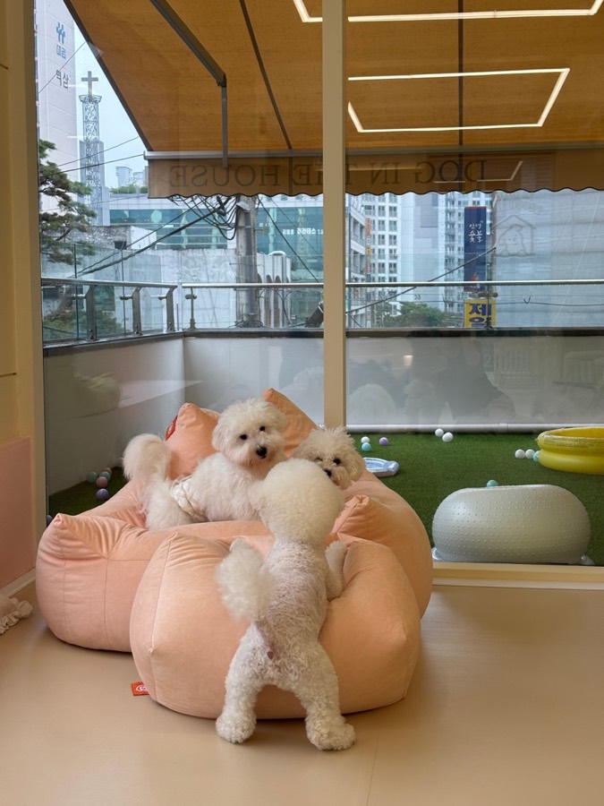 실내에서 바라본 야외 테라스